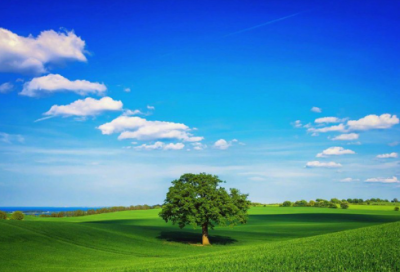 ​暑假计划英语作文