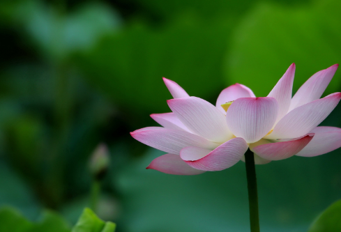 1691541358739862.png image.png