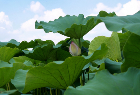 1691541855733052.png image.png