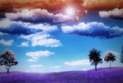 1691542186546434.png image.png