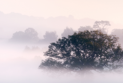 ​增广贤文全文及解释（解读增广贤文）