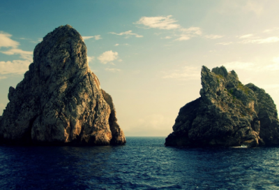 ​描写动物作文的范文