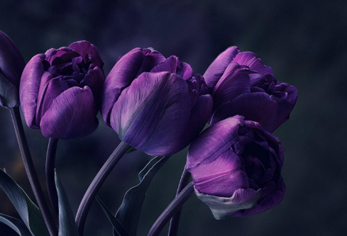 1691544354136417.png image.png