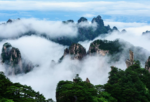 1691544520757469.png image.png