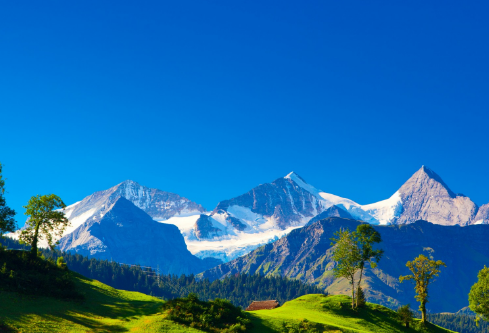 1691545847460217.png image.png