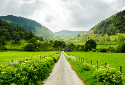 ​月满西楼李清照写作背景（李清照月满西楼赏析）