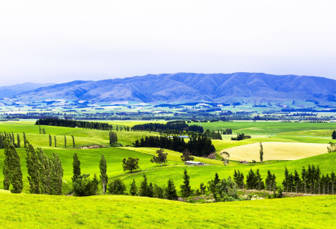 1691547009285390.png image.png