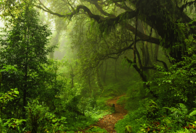 ​走在唐诗宋词里作文范文