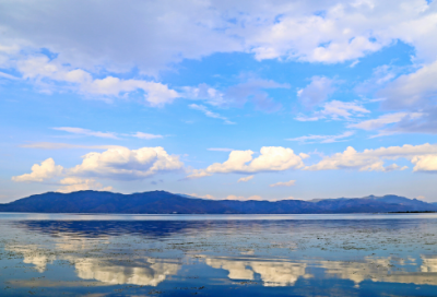 ​写南开大学的校园的作文范文