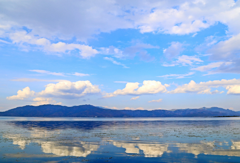 1691548500187208.png image.png