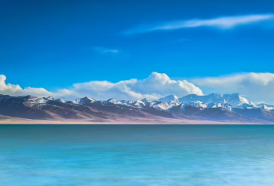 ​像什么一样生活作文范文