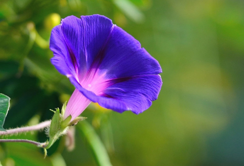 1691548832400506.png image.png