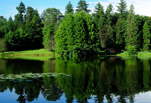 1691549495508784.png image.png