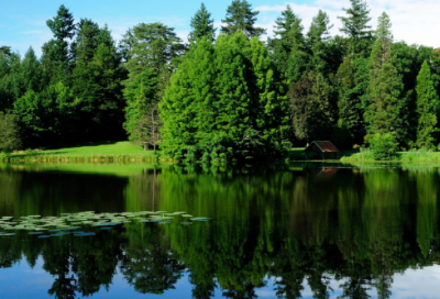 ​未来的笔作文范文