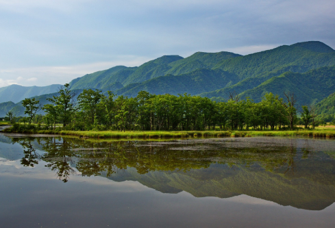 1691549992732714.png image.png