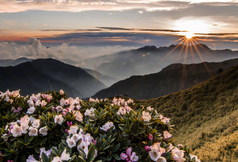 1691550158213910.png image.png