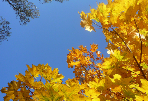 1691668490254322.png image.png