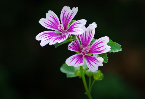 1691672475814012.png image.png