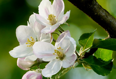 ​既好听又沙雕的网名(精选185个)