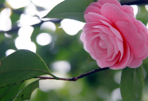 1691674800349979.png image.png