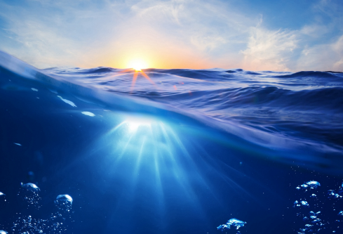 1691676294978600.png image.png