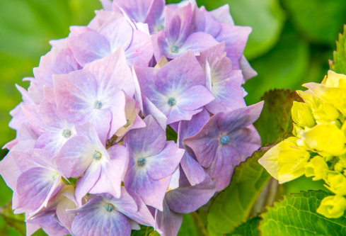 1691677790390798.png image.png