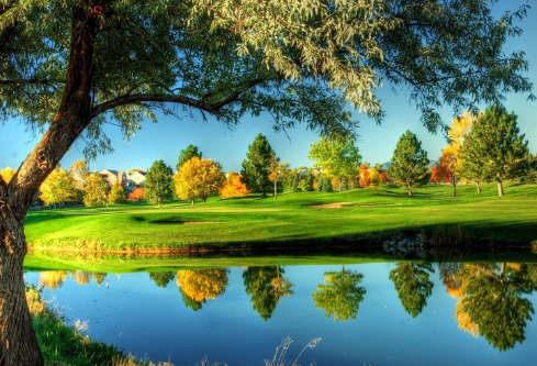 1691679948190003.png image.png