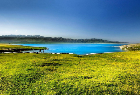 1691681456901112.png image.png