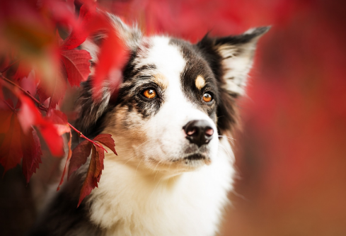 1691682452649285.png image.png