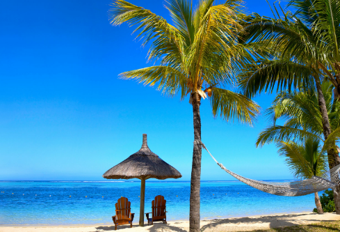 1691685772339573.png image.png