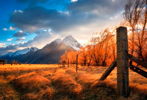 1691690602899941.png image.png