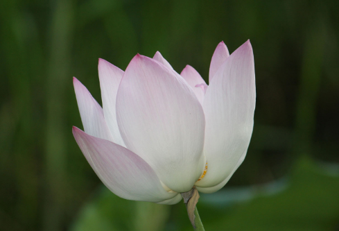 1691691100928788.png image.png