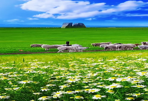 1691692097947812.png image.png