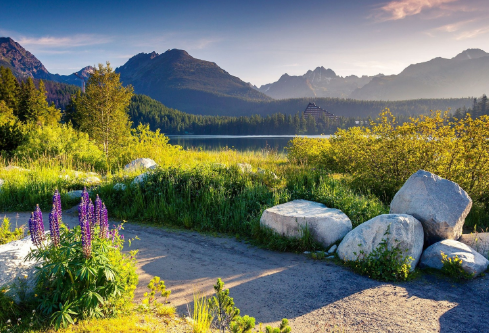 1691692262144118.png image.png