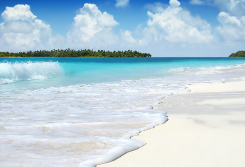 1691694089848458.png image.png