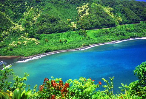 1691696412882433.png image.png