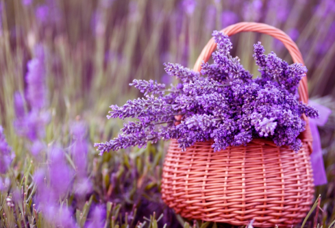 1691697409699966.png image.png