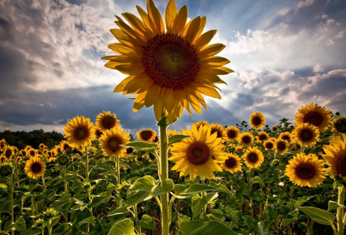 1691702902575615.png image.png