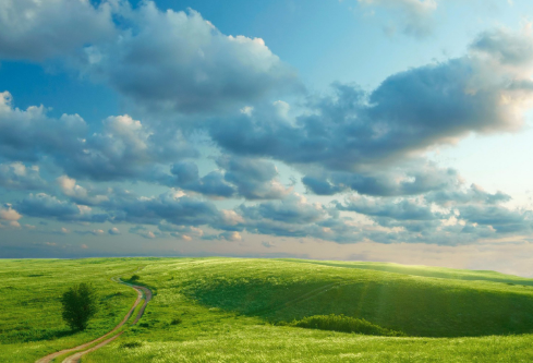 1691703566397730.png image.png