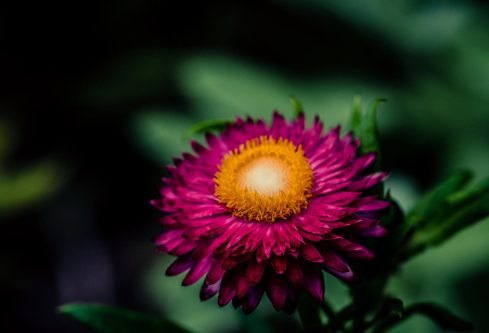 1691704063491248.png image.png