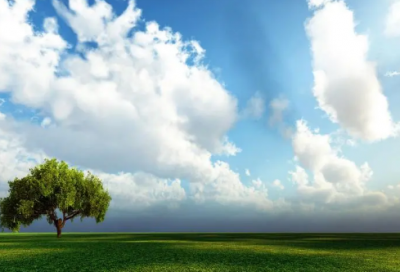 ​50个好听双胞胎女孩名字(50个)