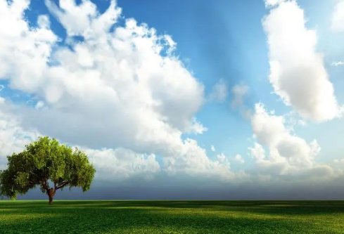 1691707549334119.png image.png