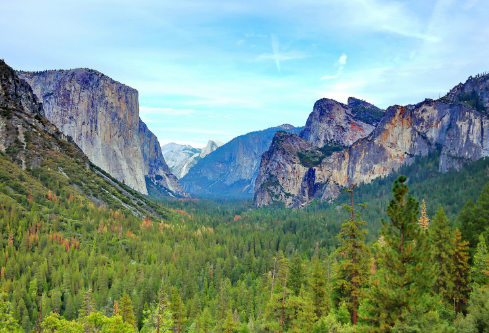 1691708047337795.png image.png