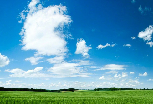 1691710881562970.png image.png