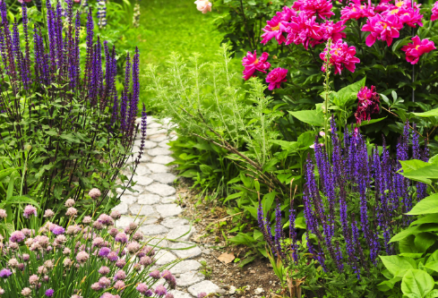 1691711545288891.png image.png