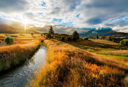 1691712209169704.png image.png