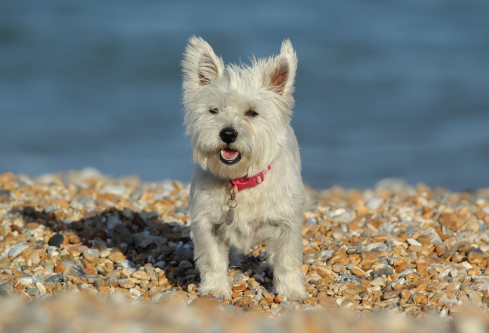 1691713702126591.png image.png