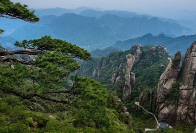 ​带萱字的网名昵称大全(精选84个)