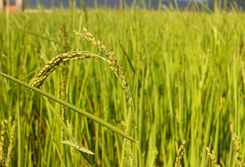 1691714876434575.png image.png