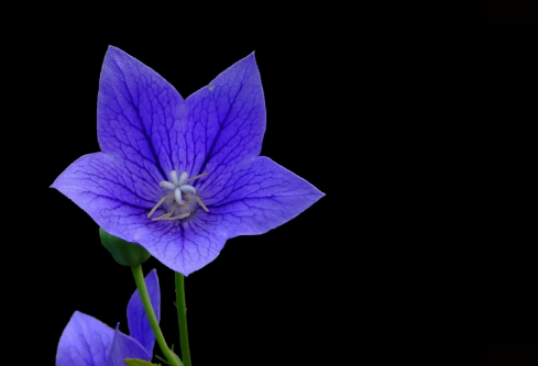 1691725832265944.png image.png